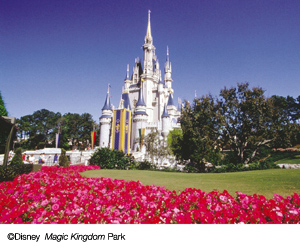 Disney World Florida