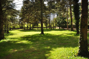 Toddler Friendly Cottages UK - Corffe Cottages