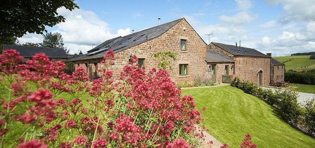 Jenny’s Croft Jenny’s Croft