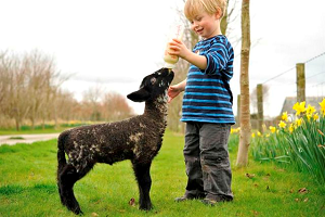 Child friendly cottages Cornwall UK - Tredethick Farm