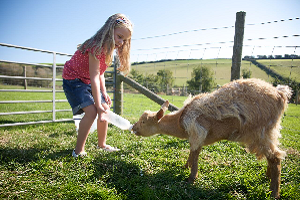 Baby Friendly Holidays - Nettlecombe Farm, Isle of Wight