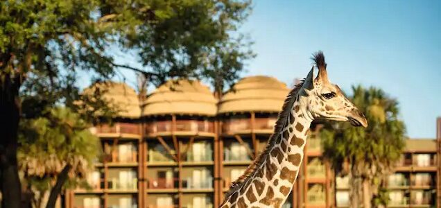 Disney’s Animal Kingdom Lodge Resort Review – Walt Disney World Florida Disney’s Animal Kingdom Lodge Resort Review – Walt Disney World Florida