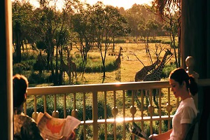 Disney World Holidays Florida 2025 2026, Animal Kingdom Lodge Resort